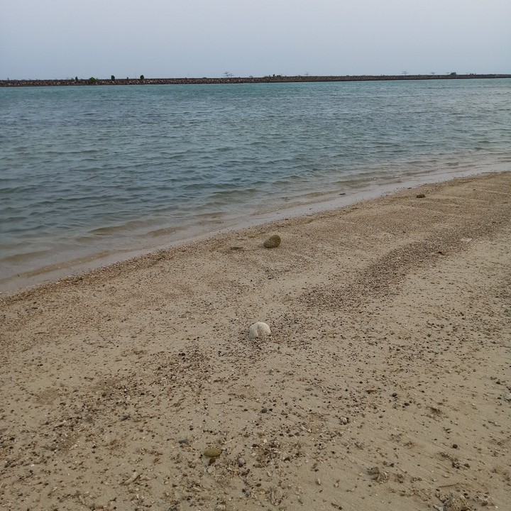 beach