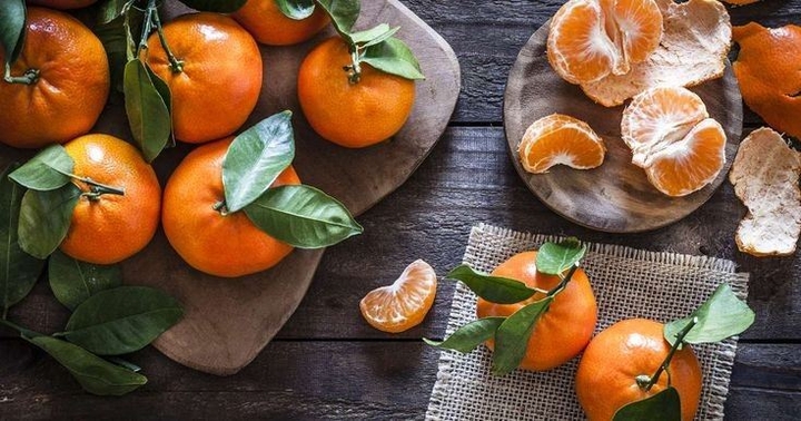 satsuma