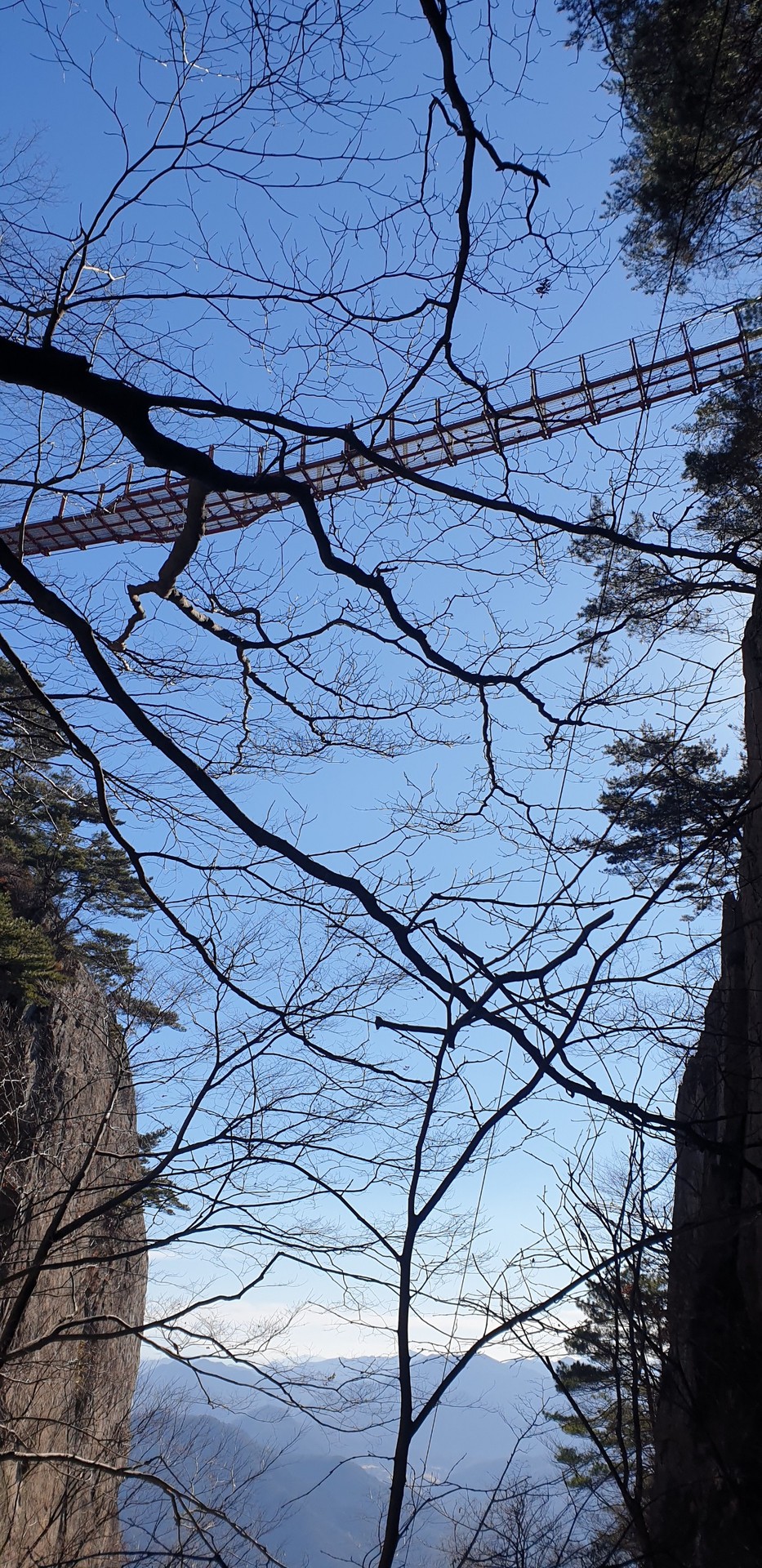 tapety twig, Bridge