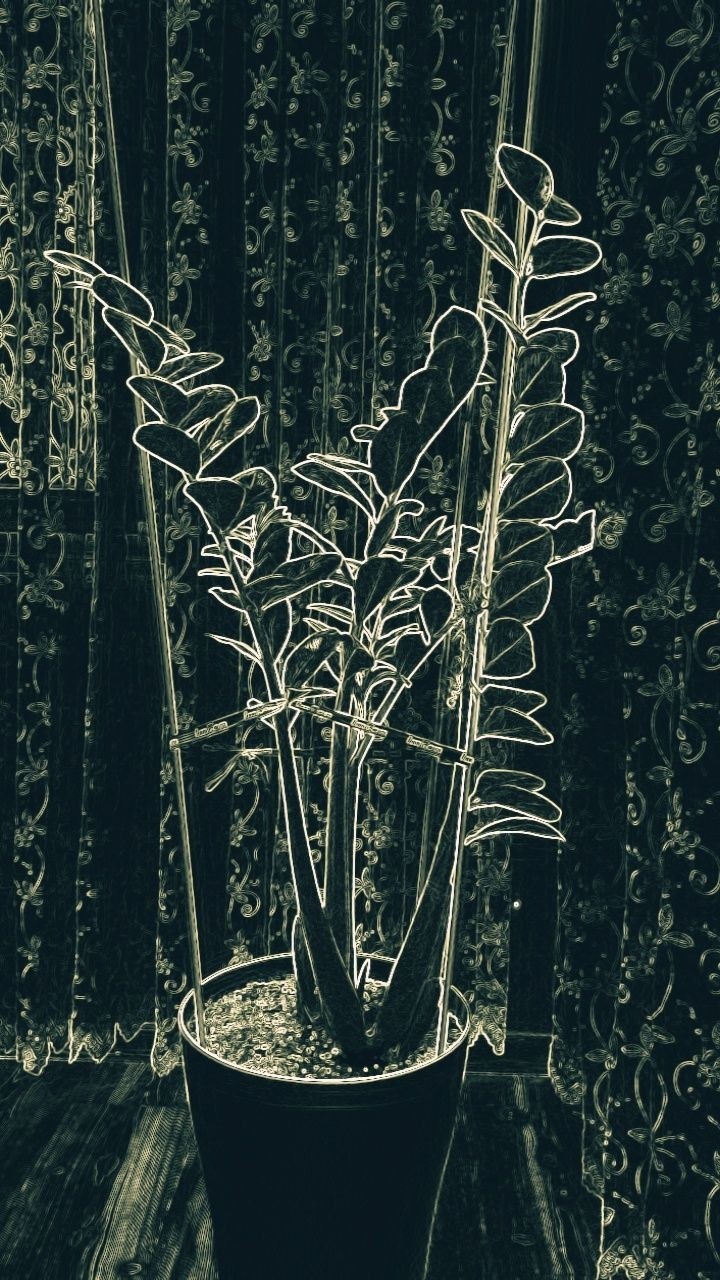 Flower 3