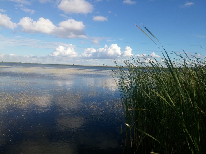 Summer