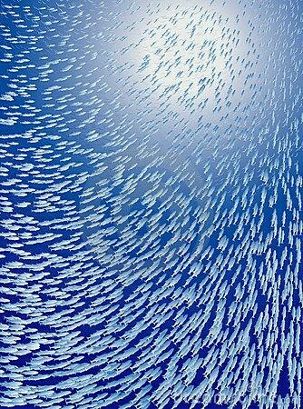 WOOOW!Как....