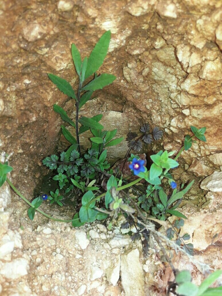 my photo ❤