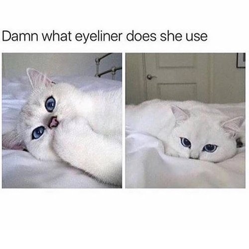 Aww.. isn't it