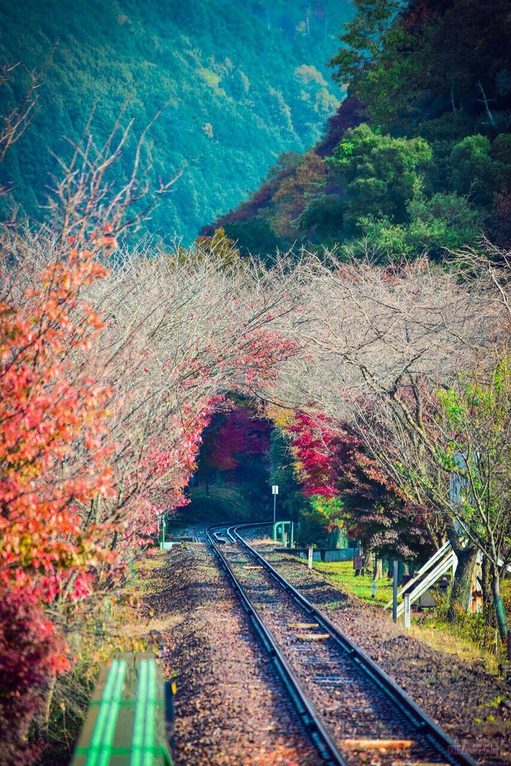 Autumn