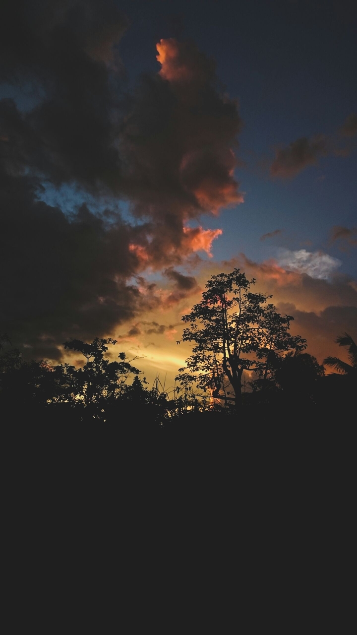 "Sunset"