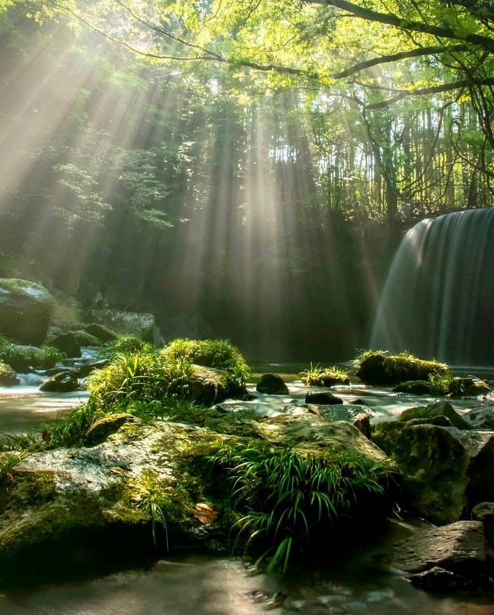Waterfall
