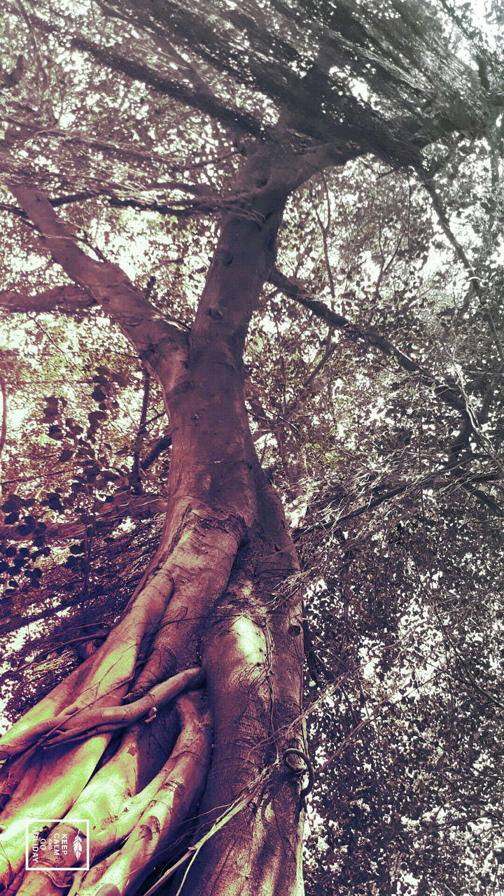 MEENAAI - PHOTOGRAPHY - SAMSUNG ON NXT
