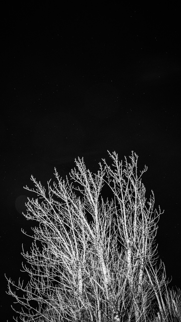 night