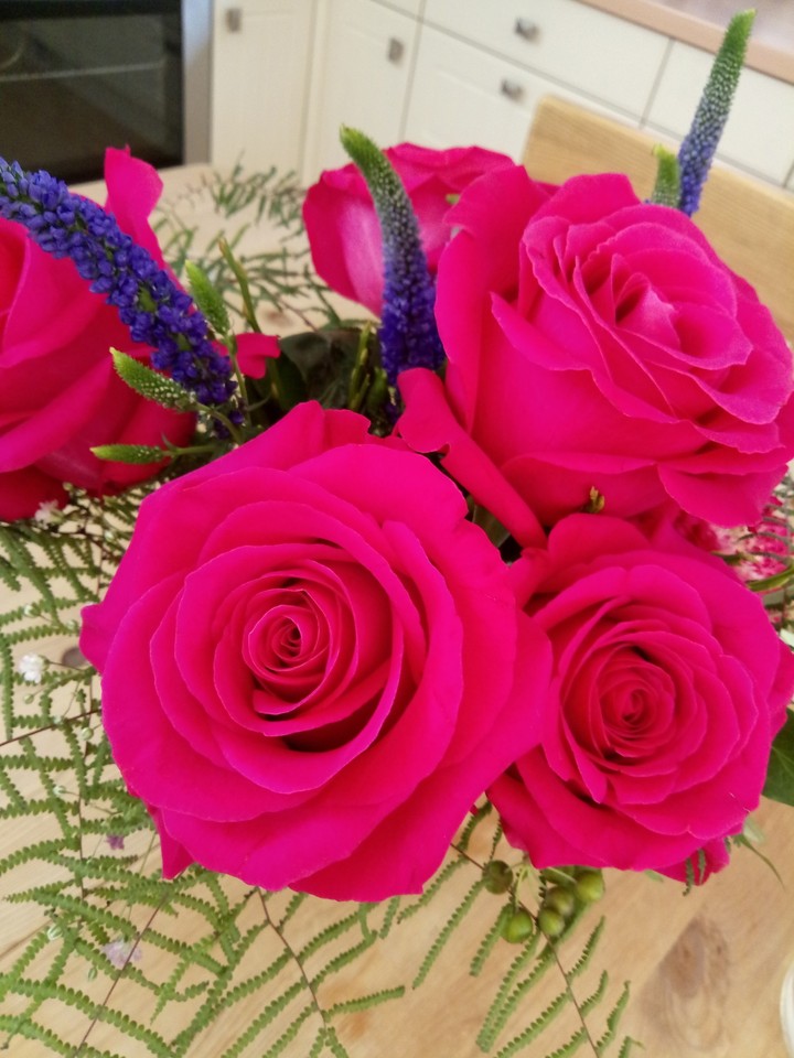 Geburtstagsrosen