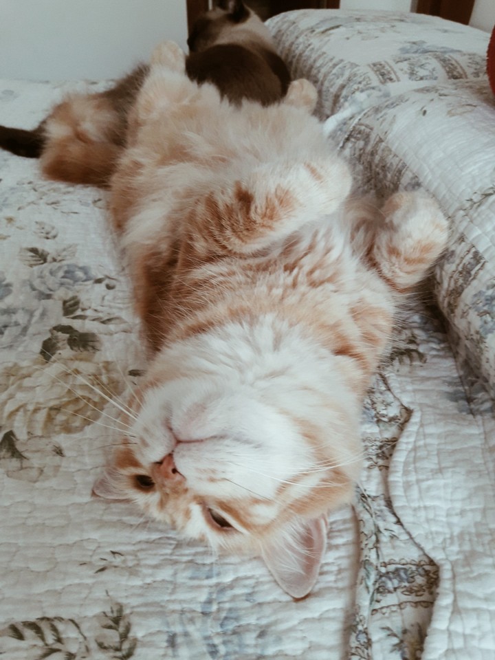 Boris