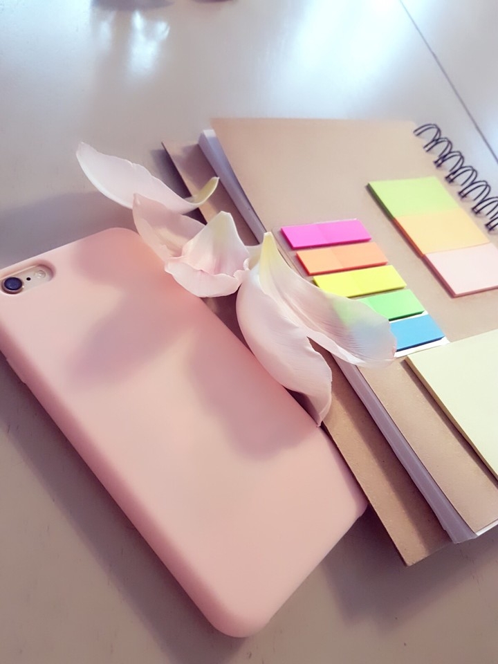notbook