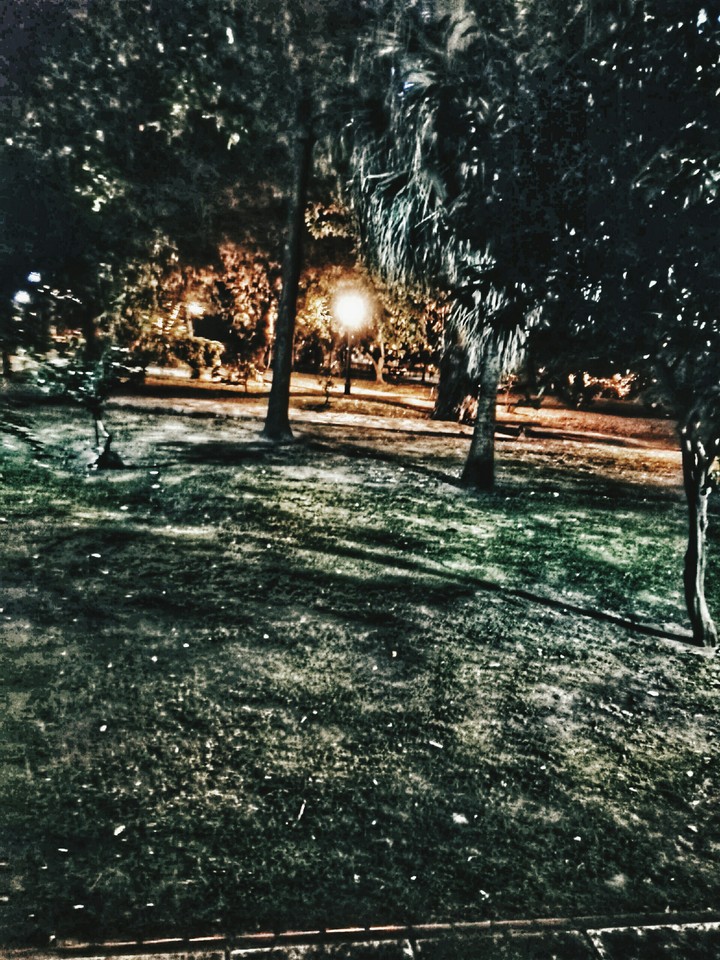 park in the night