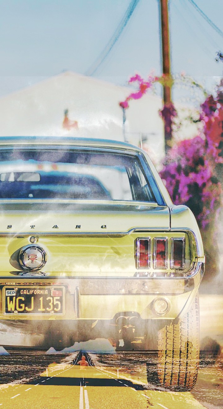Mustang and dream