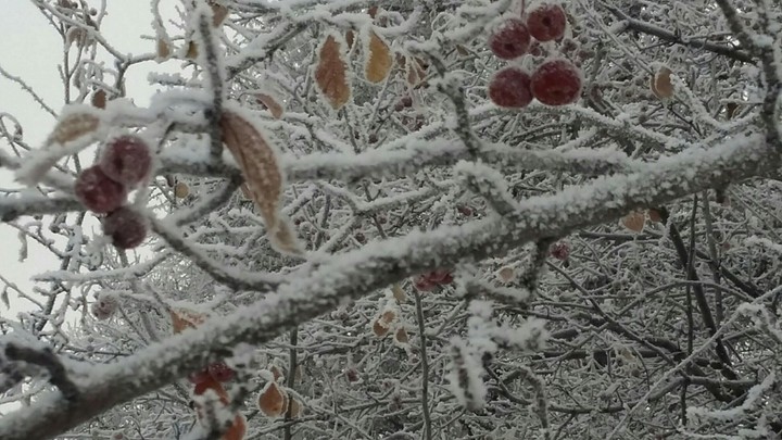 Winter