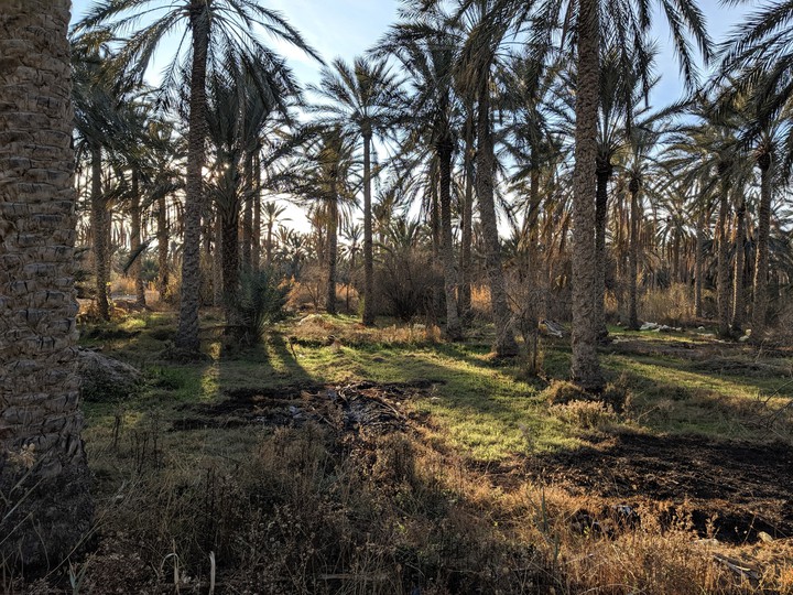 Kebili, Tunisia