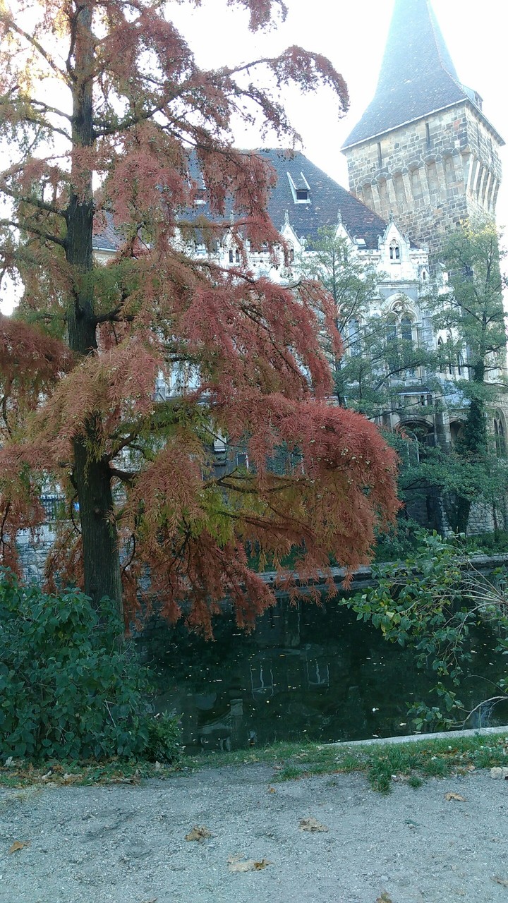 Budspest, Castle Vajdahunyad
