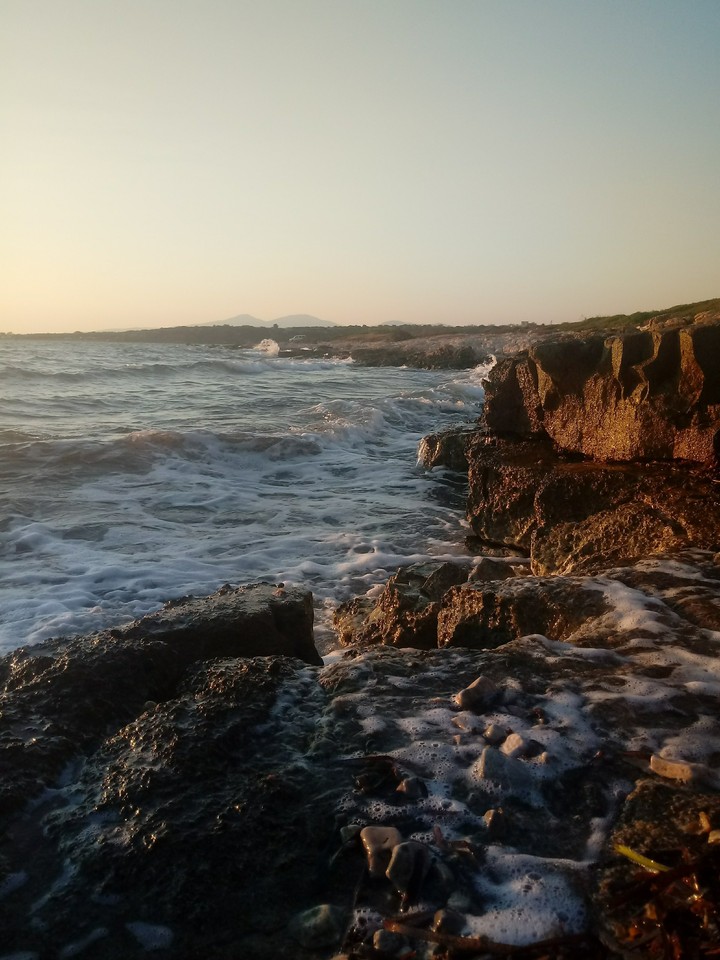 wave