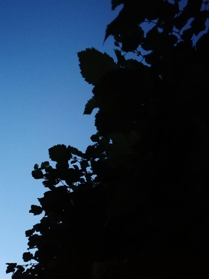 sky