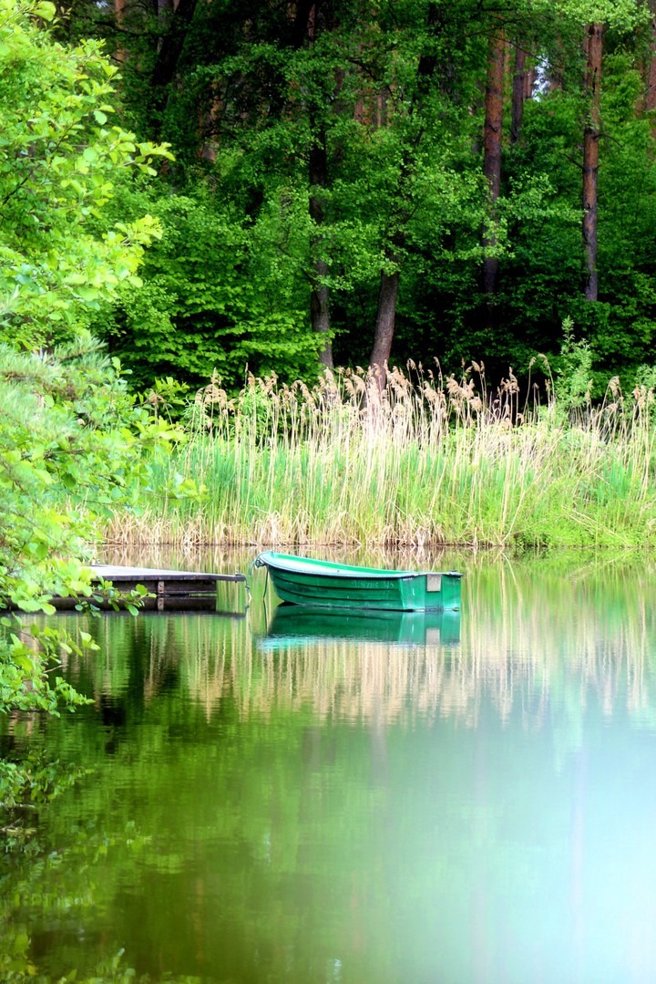 Total green