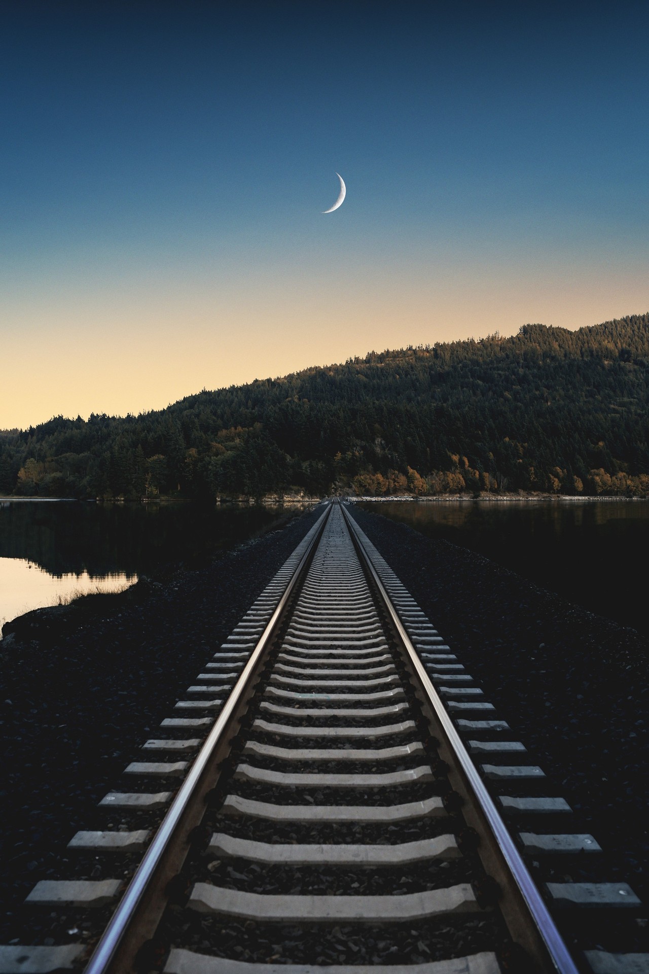 sfondi moon, moonlight