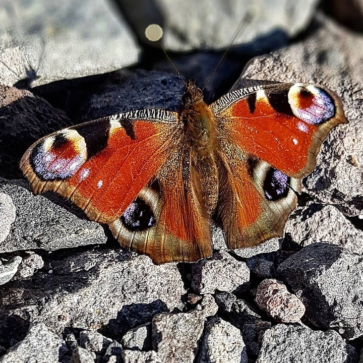 Frühlingsbeginn