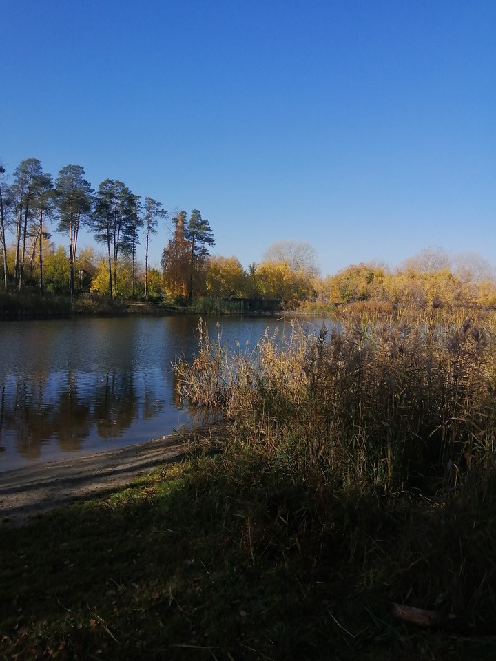 Осень.