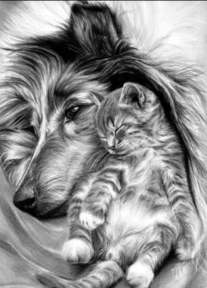 dessin