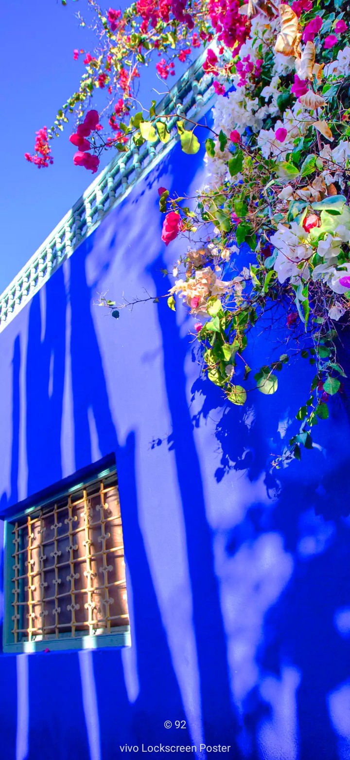 beuityfull  blue background