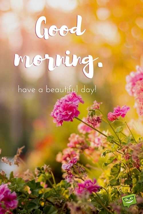 good morning