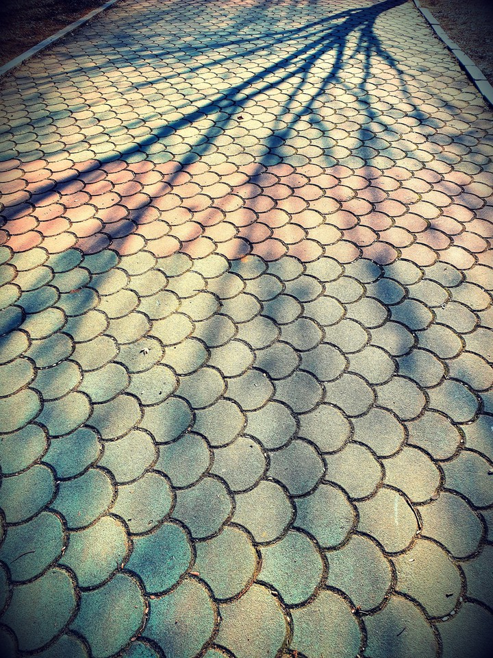 길