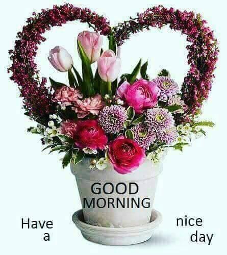 GOOD MORNING FRIENDS AND FAMILY