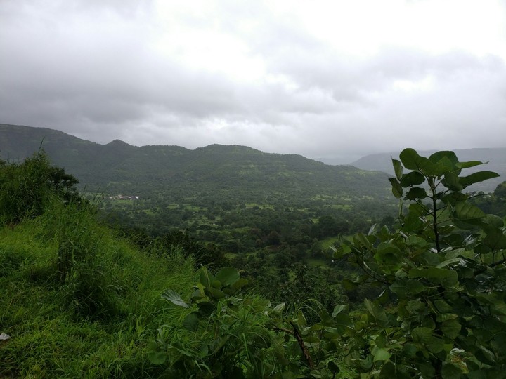 lavasa