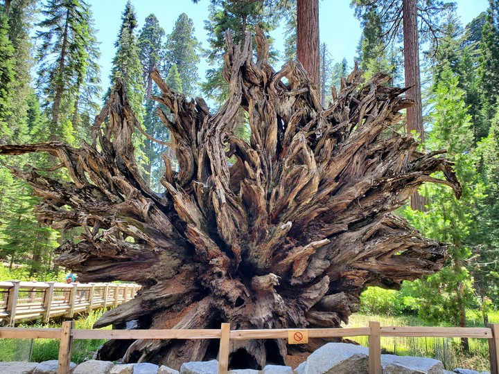 Fallen Giant, Yosemite
