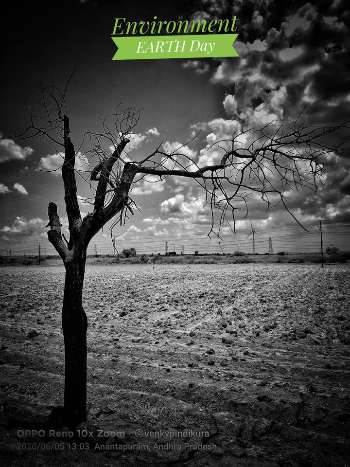 environment day