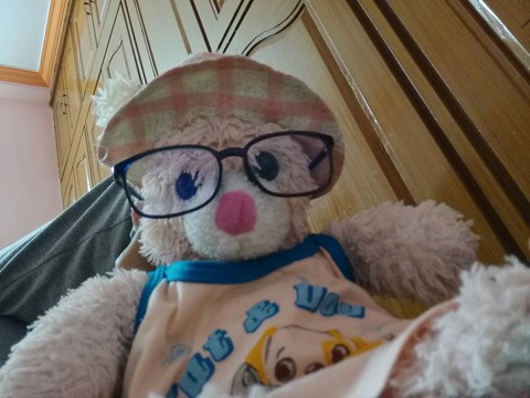 teddy