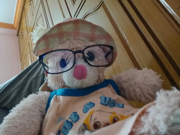 teddy