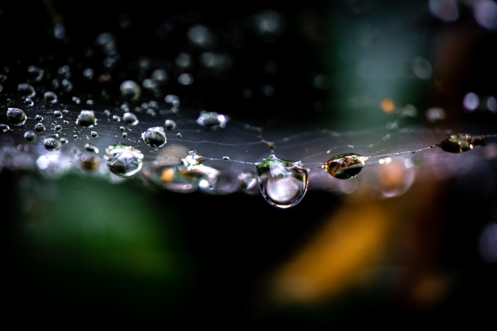 A Net Of Pearls