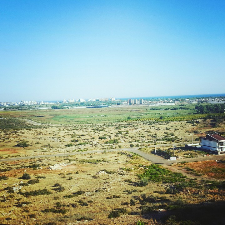 manzara