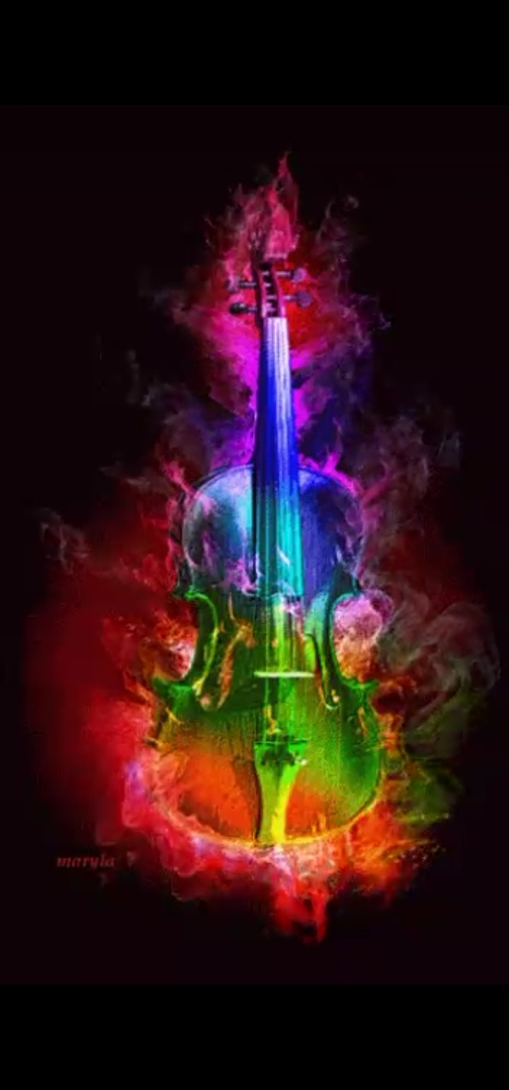 Violin