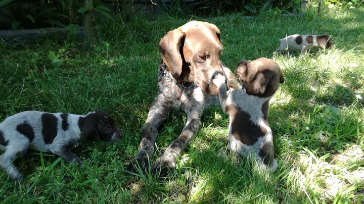 madre e figlio.