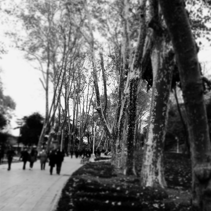 Gülhane Parkı