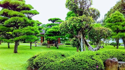 wonderful place