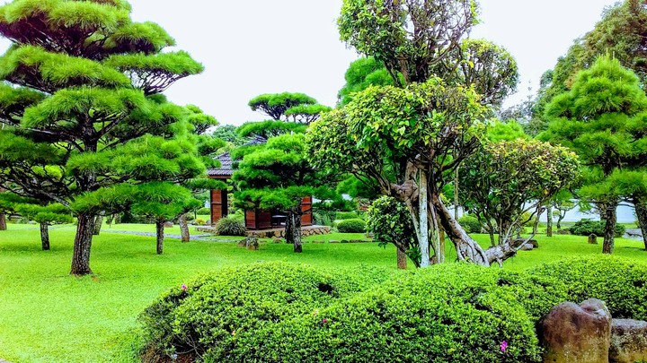 wonderful place