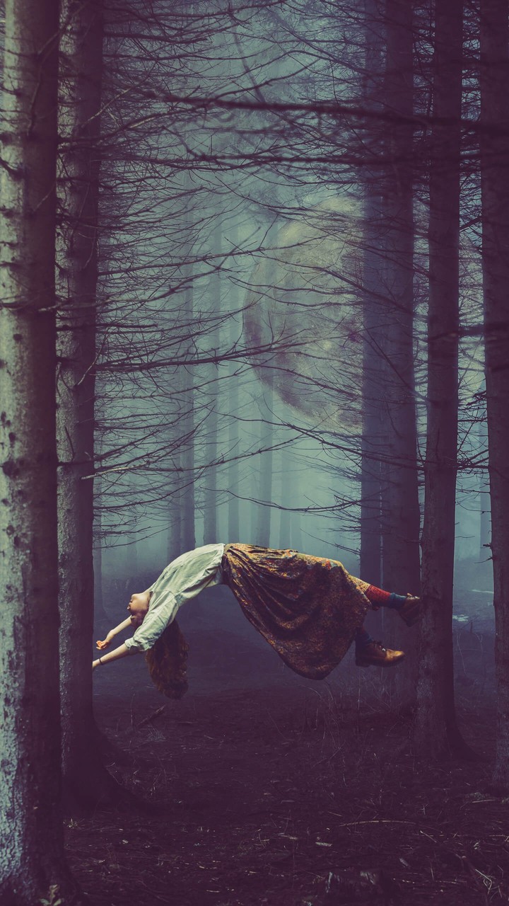 In The Wood