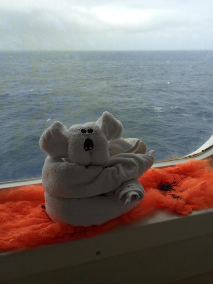 Towel animal