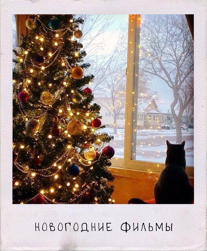 зима