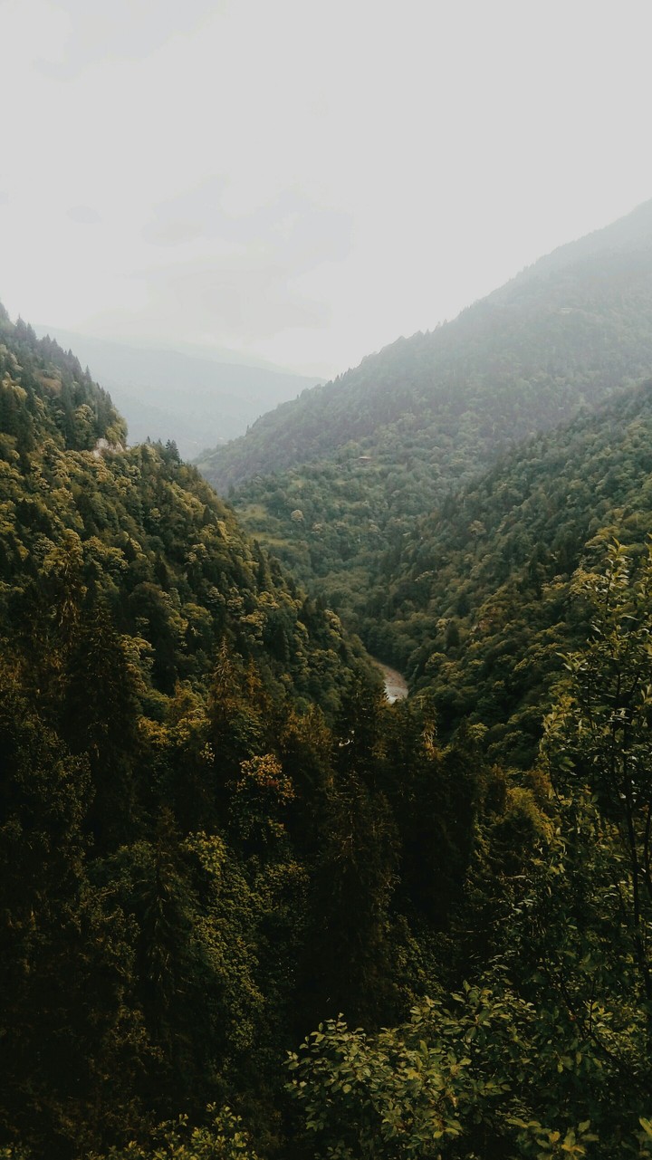Get lost in GREEN