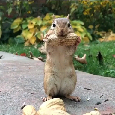 When you’re super hungry Wait for the smile!