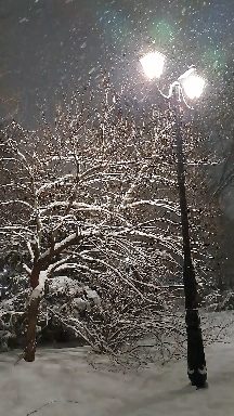 Snowing night